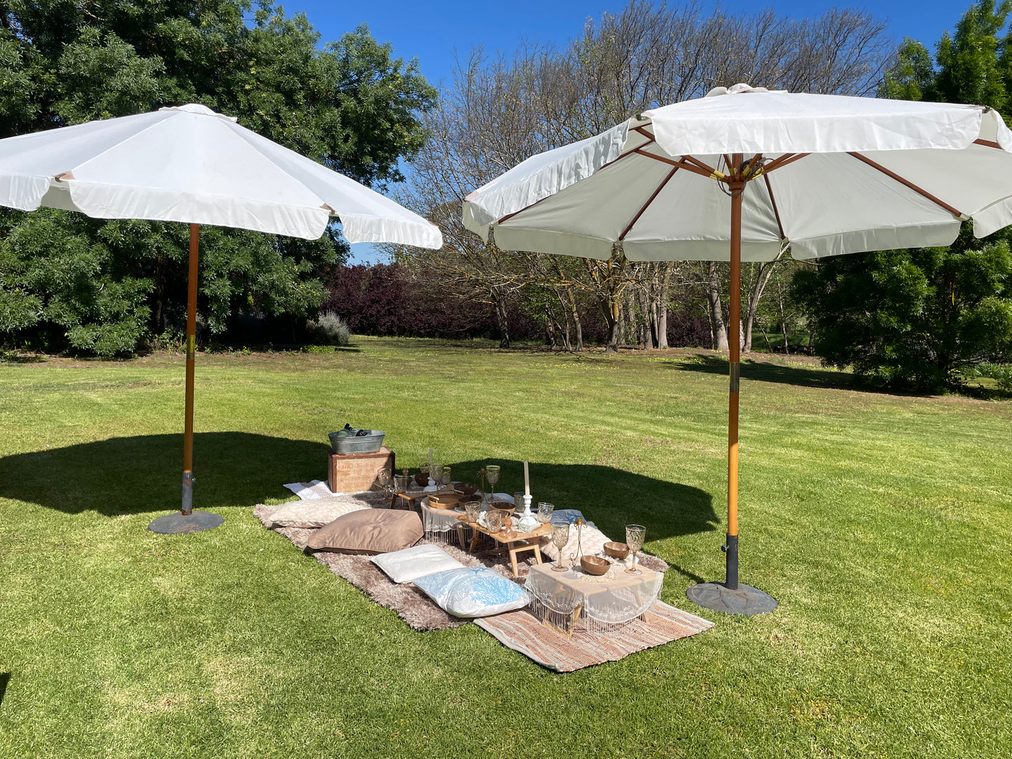 "Picnic in the Garden" package (for up to 14)