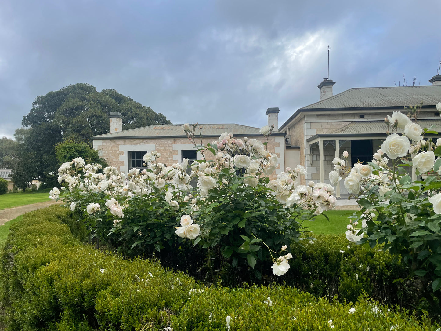 Narracoorte Homestead group all inclusive weekend getaway - 3 course ‘in-house’ dinner + wine tour, 5-10 people, 3 nights