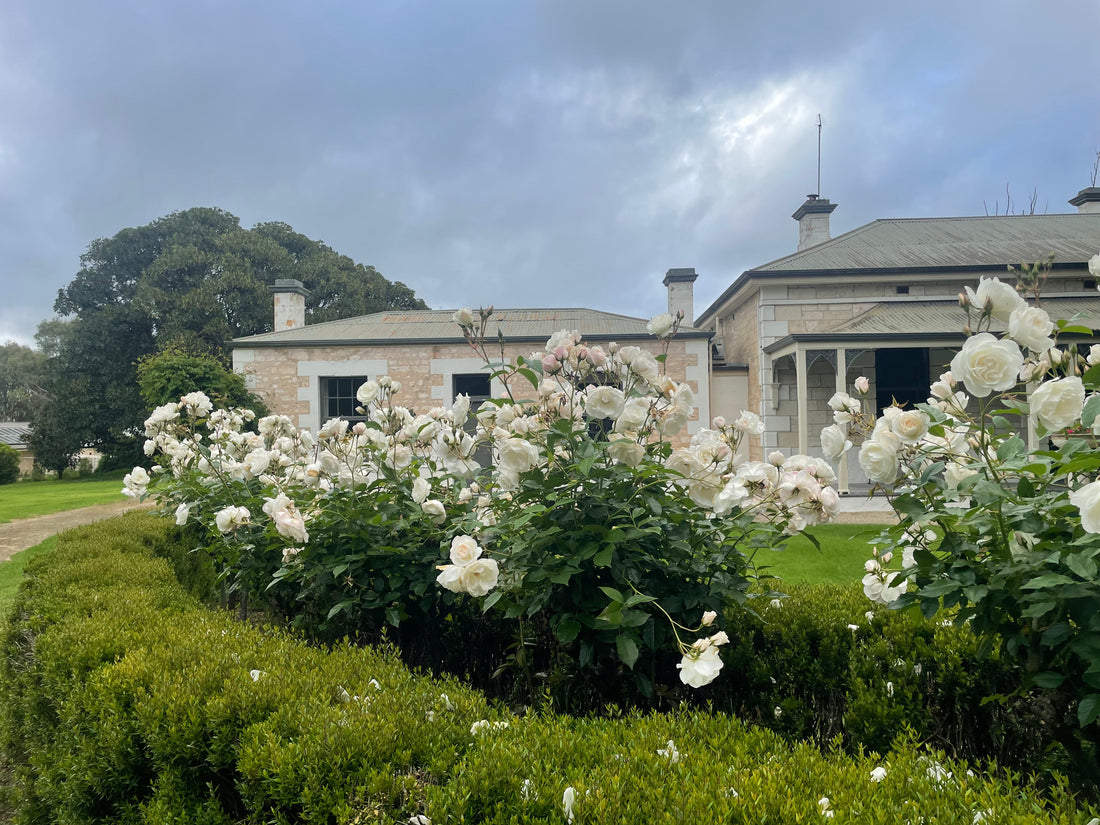 We are now a National Trust SA member!