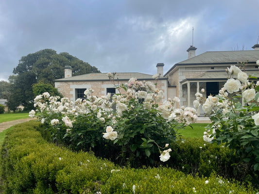 We are now a National Trust SA member!