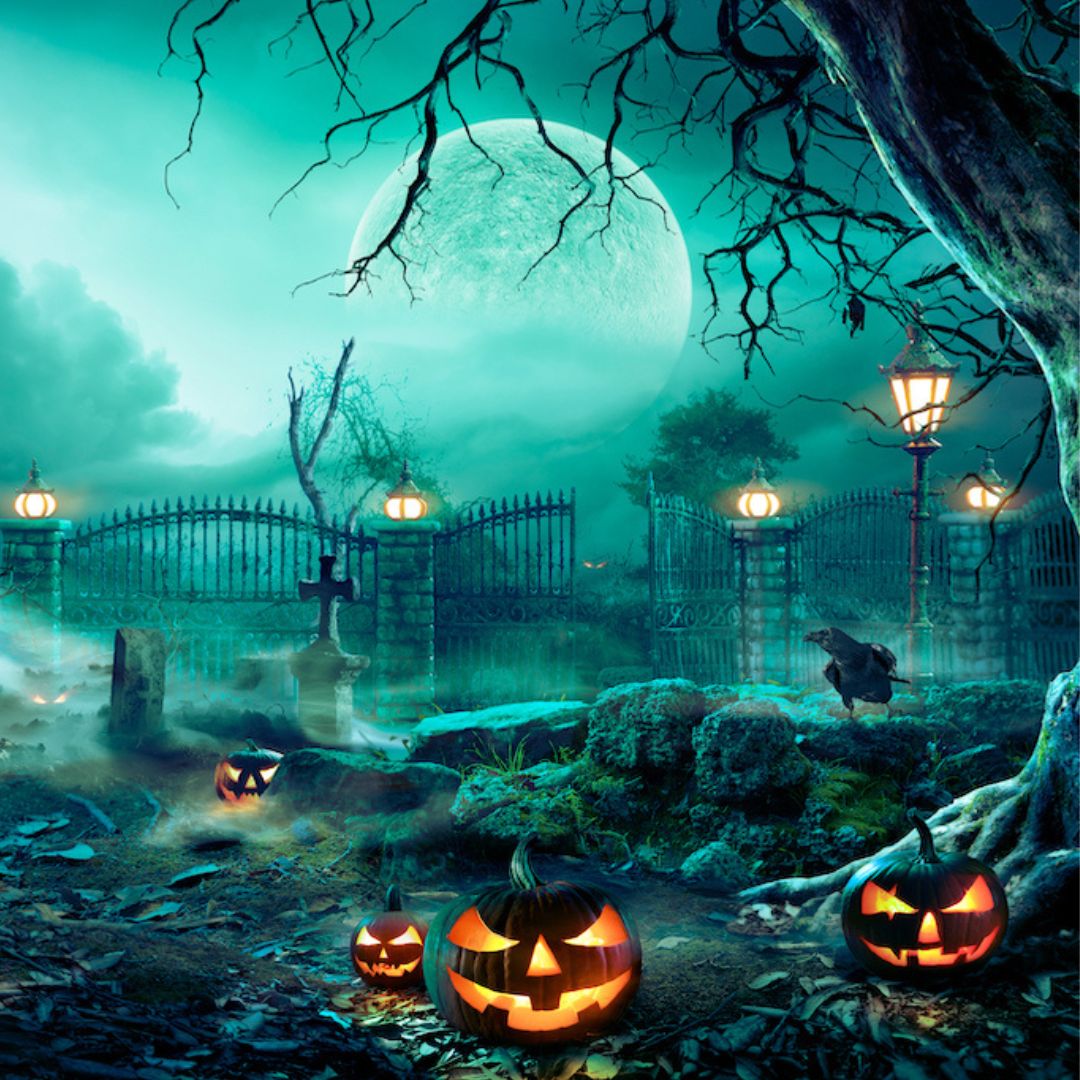 HALLOWEEN MONDAY 31 OCTOBER | Exclusive Murder Mystery Dinner at The Homestead | 7.00 - 11.00pm